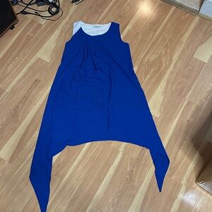 Express Cobalt Blue Sleeveless Tunic